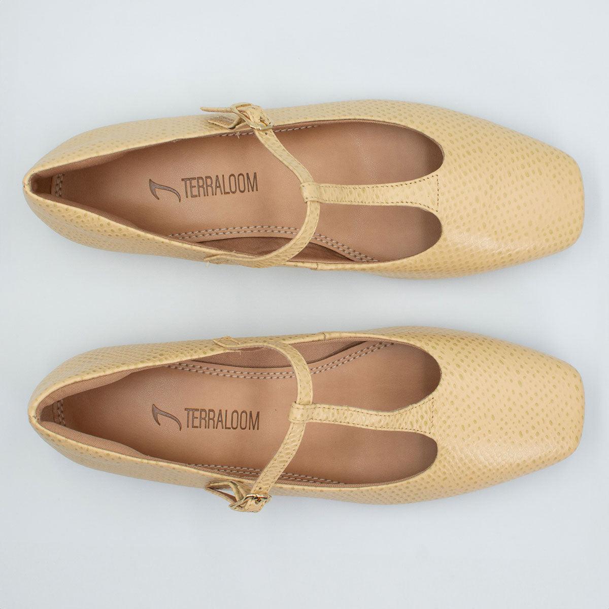 Jabuticaba flats - top view scale uvaia Terraloom